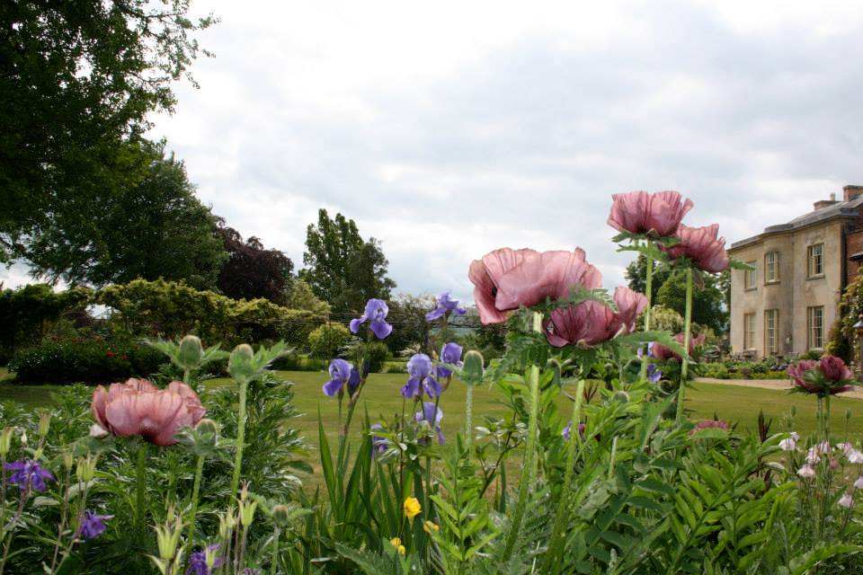 Welshpool Classic Car Festival 2024